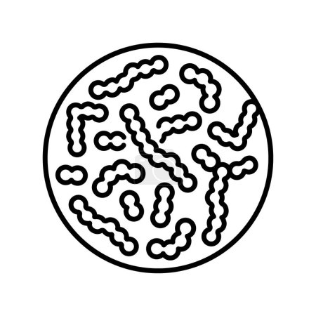 Icono negro de la línea Lactococcus. Probióticos microscópicos. Firme para la página web, aplicación móvil, botón, logotipo. Vector botón aislado. 