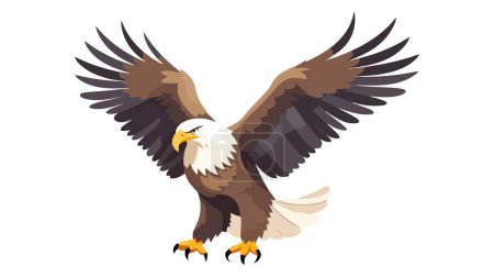 Bald Eagle isolated on white background. Vector illustration.