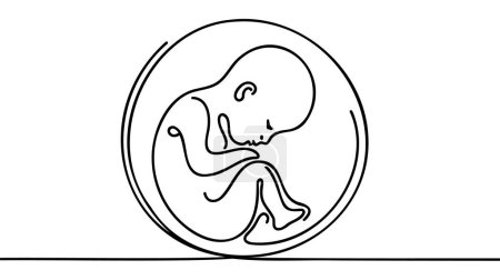 Baby in womb one line drawing on white background.