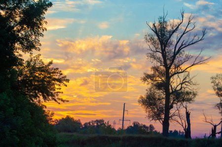 Foto de Foto de paisaje de verano, Amanecer puesta de sol hermosas pinturas pintadas el cielo, tonos pastel, árboles a la sombra del sol poniente - Imagen libre de derechos