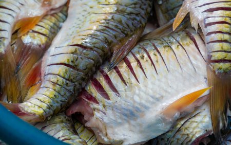 Foto de El pescado está listo para comer. El pescado contiene proteínas de alta calidad y otros nutrientes esenciales y es una parte importante de una dieta saludable.. - Imagen libre de derechos