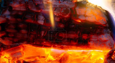 Photo for Fire. Fire is an important process affecting ecological systems around the world. Positive effects include stimulating growth and maintaining various ecological systems - Royalty Free Image