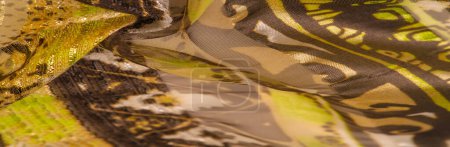 Téléchargez les photos : Tissu de soie, vert-brun, fond abstrait tissu de luxe ou vague liquide ou plis ondulés de soie grunge texture matériau de velours satiné ou fond de Noël luxueux ou design élégant papier peint - en image libre de droit