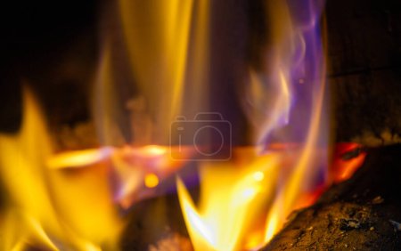 Photo for Fire. Fire is an important process affecting ecological systems around the world. Positive effects include stimulating growth and maintaining various ecological systems - Royalty Free Image