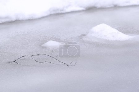 Téléchargez les photos : Transporte la beauté et la sérénité de la glace printanière sur l'eau. S'inspire des techniques artistiques traditionnelles japonaises. Reflète un sentiment de calme et d'harmonie dans sa conception. - en image libre de droit
