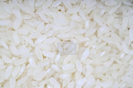 Téléchargez les photos : Vue de dessus de fond long riz cru poli. Texture naturelle et biologique des graines de riz blanc. Céréales de riz - en image libre de droit
