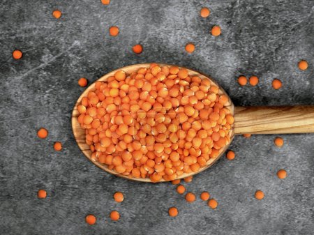 Photo pour Lentilles rouges dans une cuillère en bois sur fond gris, concept d'aliments végétaliens sains à haute teneur en protéines. - image libre de droit