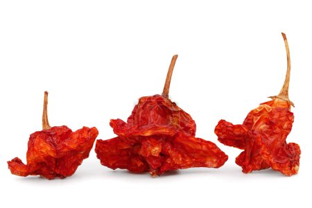 Photo for Dried chilies of capsicum baccatum or Christmas bell chili pepper isolated on white background. - Royalty Free Image