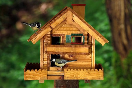 wooden birdhouse with great tits, Parus major, in the garden, bird feeder house on green background in summer.