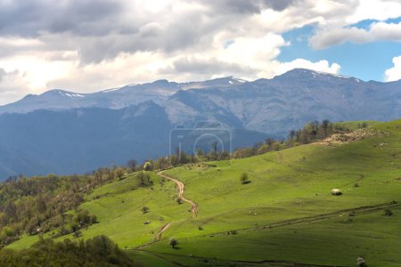 Téléchargez les photos : Versant vert de la montagne pendant la da - en image libre de droit
