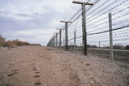Photo for Barbed wire at the border - Royalty Free Image