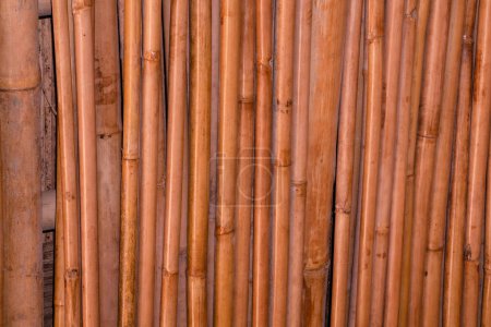 Téléchargez les photos : Détail de texture de bois de détail abstrait jaune-brun motif bâton de bambou, matériau de construction japonais pour l'arrière-plan, toile de fond ou élément de conception décoration
. - en image libre de droit