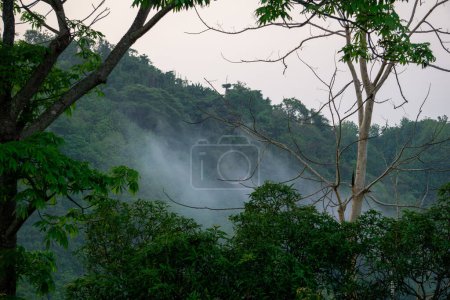 Photo for Beautiful scenery in the mountains. Hilly region of Bangladesh. The morning sky, green magical mountains covered in morning mist. Photo taken from Meghbari, Bandarban, Bangladesh. - Royalty Free Image