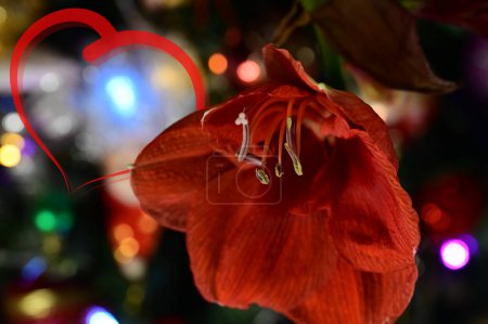 Téléchargez les photos : Close up of beautiful freesia flower and heart - en image libre de droit