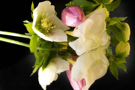 Téléchargez les photos : Gros plan de belle composition florale - en image libre de droit