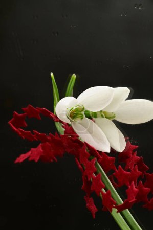 Foto de Beautiful floral composition  with snowdrops on black background - Imagen libre de derechos
