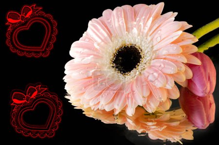 Téléchargez les photos : Beautiful gerbera flowers and hearts - en image libre de droit