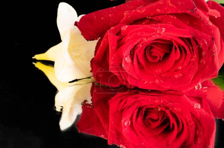 Téléchargez les photos : Beautiful bouquet with roses, close up - en image libre de droit