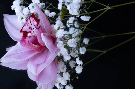 Foto de Close up of beautiful composition  with  orchid flowers - Imagen libre de derechos