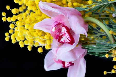 Photo for Close up of beautiful  orchids  and mimosas  bouquet - Royalty Free Image