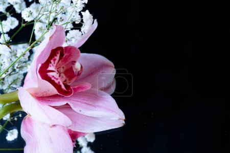 Foto de Close up of beautiful composition  with  orchid flowers - Imagen libre de derechos