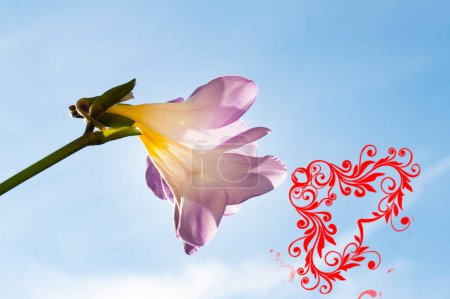 Foto de Beautiful freesias flowers and heart on sky background - Imagen libre de derechos