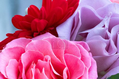 Téléchargez les photos : Belle composition florale avec des roses - en image libre de droit
