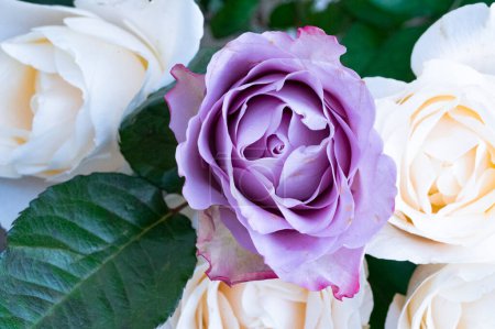 Foto de Close up od beautiful bouquet  with roses - Imagen libre de derechos