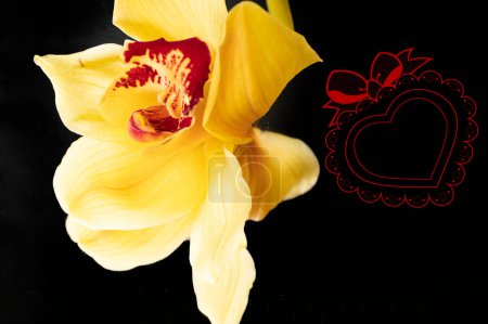 Téléchargez les photos : Close up of beautiful  yellow orchid flower and heart - en image libre de droit