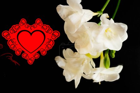 Téléchargez les photos : Beautiful freesias flowers and heart on black background - en image libre de droit