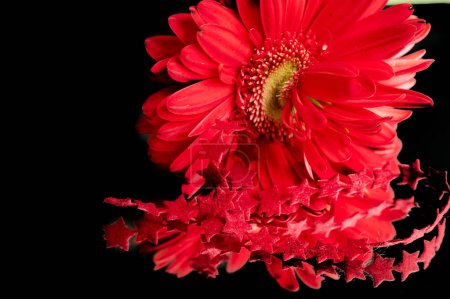 Téléchargez les photos : Close up of beautiful  gerbera flower, gift - en image libre de droit