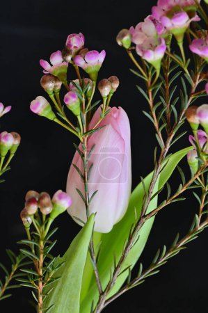 Foto de Close up of beautiful floral composition with  tulip - Imagen libre de derechos