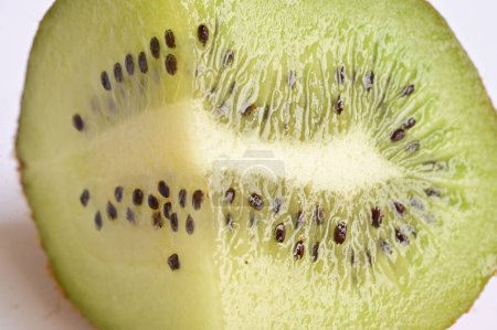 Foto de Kiwi en el fondo blanco - Imagen libre de derechos