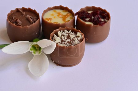 Téléchargez les photos : Delicious chocolate candies and snowdrop - en image libre de droit