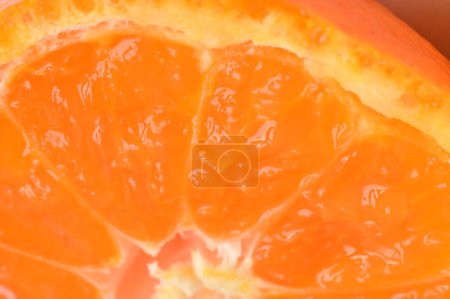 Téléchargez les photos : Gros plan de mandarine mûre - en image libre de droit