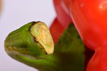 Téléchargez les photos : Red pepper, paprika, close up - en image libre de droit
