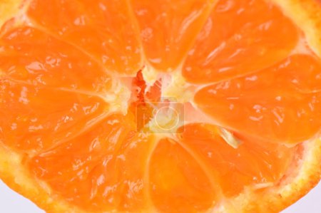 Photo for Close up of ripe tangerine - Royalty Free Image
