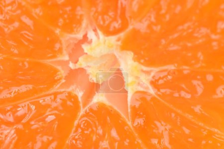 Téléchargez les photos : Ripe tangerine, close up - en image libre de droit
