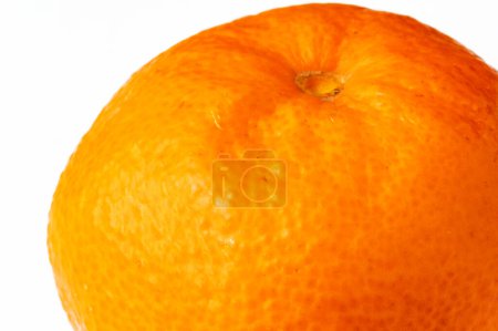 Téléchargez les photos : Mandarine mûre sur fond blanc - en image libre de droit