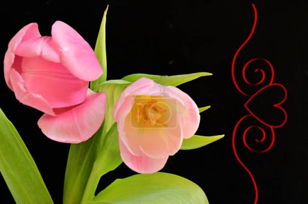 Foto de Close up of beautiful tulip   flowers and heart sign - Imagen libre de derechos