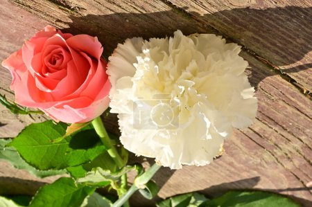 Téléchargez les photos : Close up of beautiful rose     and carnation flowers - en image libre de droit