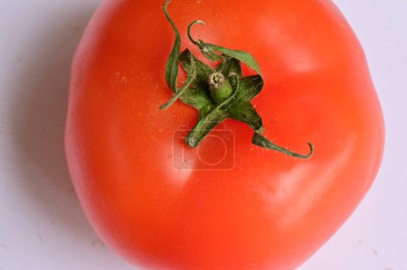 Foto de Tomates y tomate sobre fondo blanco - Imagen libre de derechos