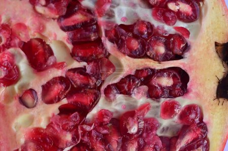Téléchargez les photos : Close-up of fresh ripe pomegranate - en image libre de droit