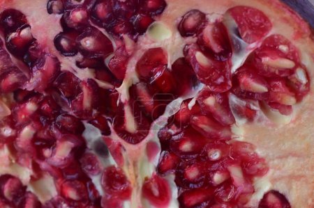 Foto de Close-up of fresh ripe pomegranate - Imagen libre de derechos