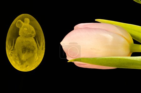 Téléchargez les photos : Close up of beautiful tulip  flower and easter  egg symbol - en image libre de droit