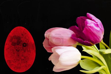 Foto de Close up of beautiful tulips  flowers and easter  egg symbol - Imagen libre de derechos