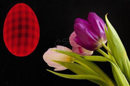 Foto de Close up of beautiful tulips  flowers and easter  egg symbol - Imagen libre de derechos