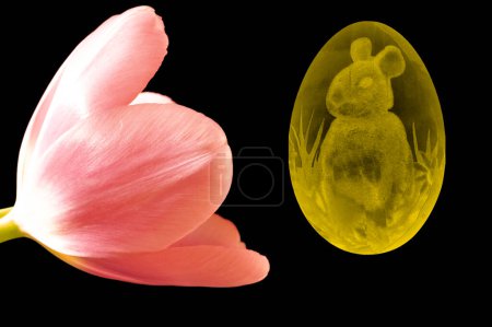 Foto de Close up of beautiful tulip  flower and easter  egg symbol - Imagen libre de derechos