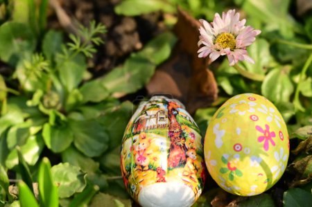 Photo for Colorful easter eggs  on lawn - Royalty Free Image