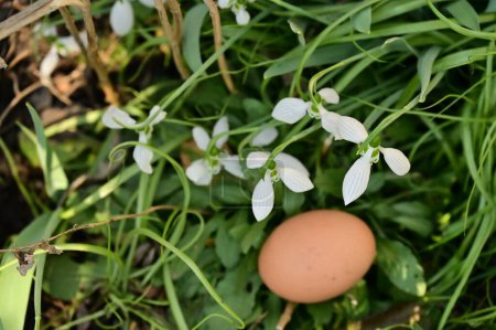 Foto de Colorido huevo de Pascua decorado con flores en el jardín - Imagen libre de derechos